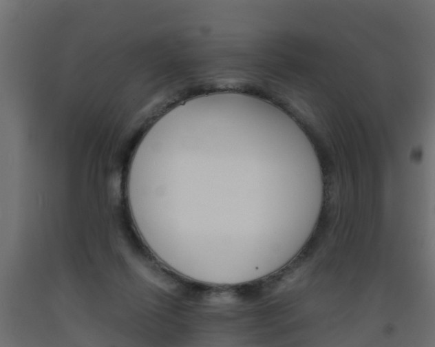 X0000093570262200710151022