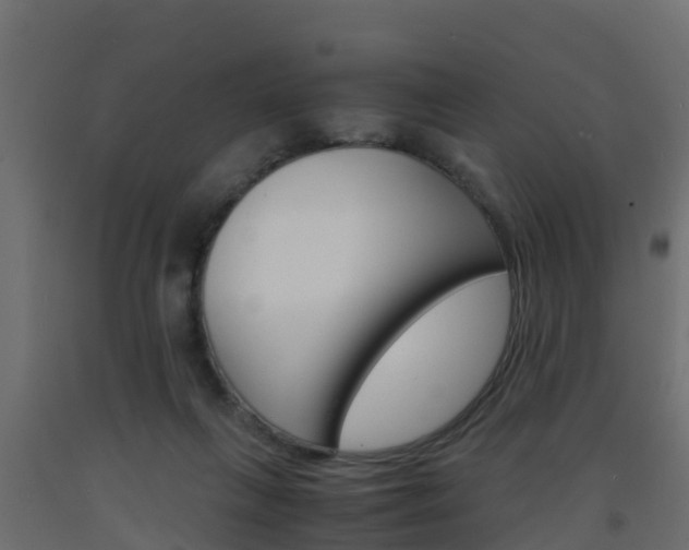 X0000093570263200710151022