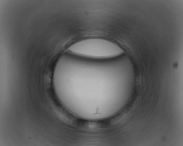 X0000093570264200710151022