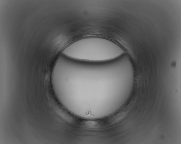 X0000093570265200710151022