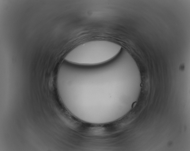 X0000093570266200710151022
