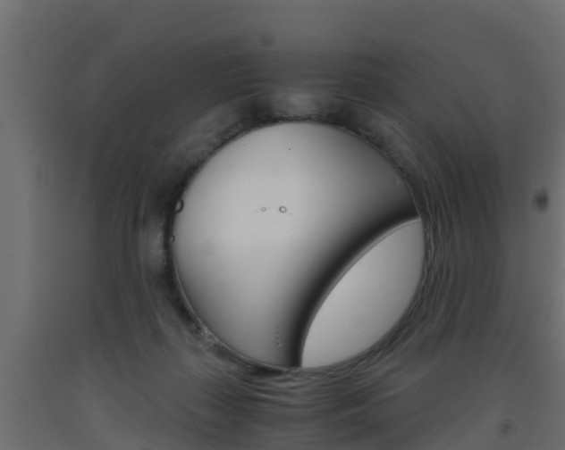 X0000093570267200710151022