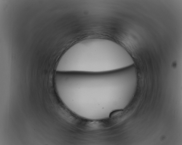 X0000093570269200710151022