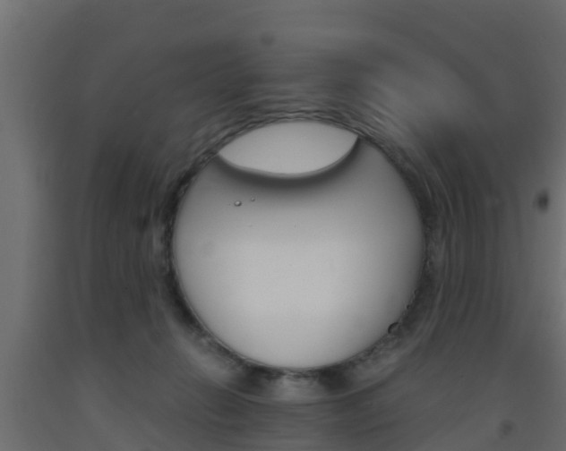 X0000093570270200710151022