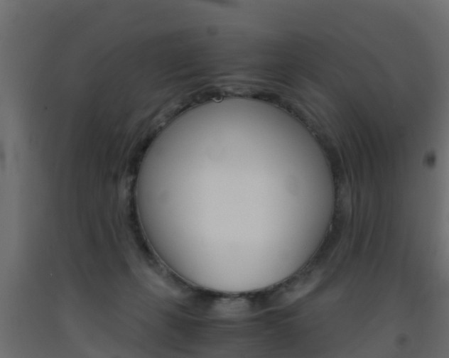 X0000093570271200710151022