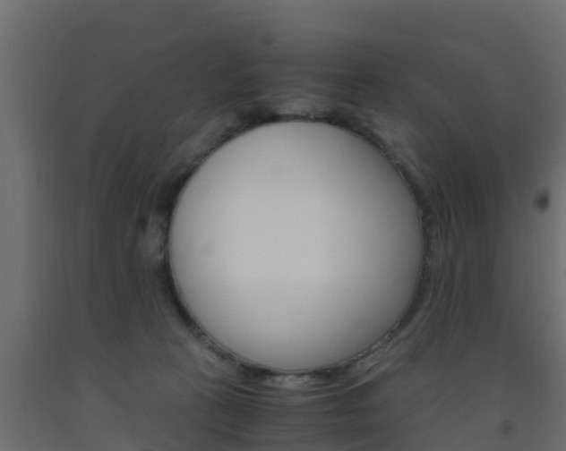 X0000093570273200710151022