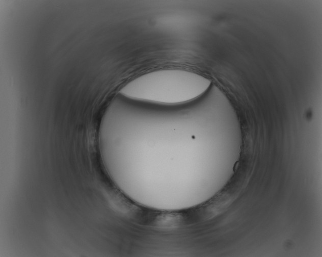 X0000093570274200710151022