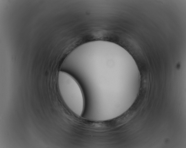 X0000093570275200710151022