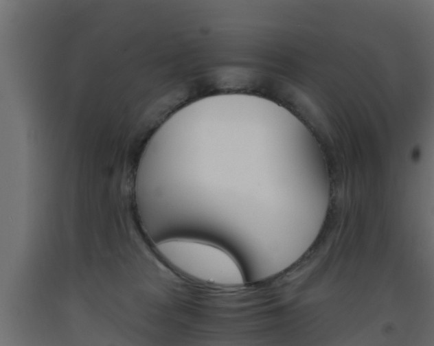 X0000093570277200710151022