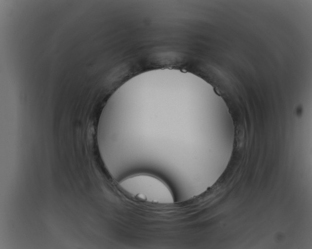 X0000093570279200710151022