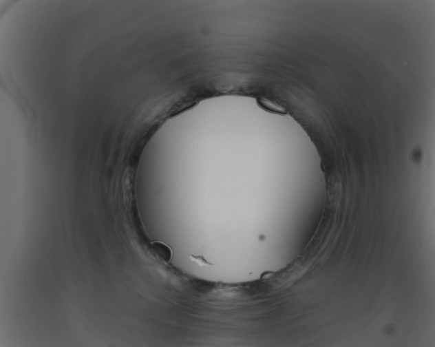 X0000093570280200710151023