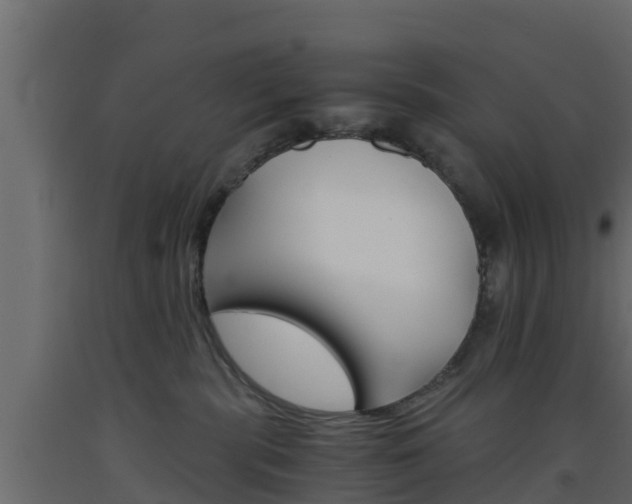 X0000093570283200710151023