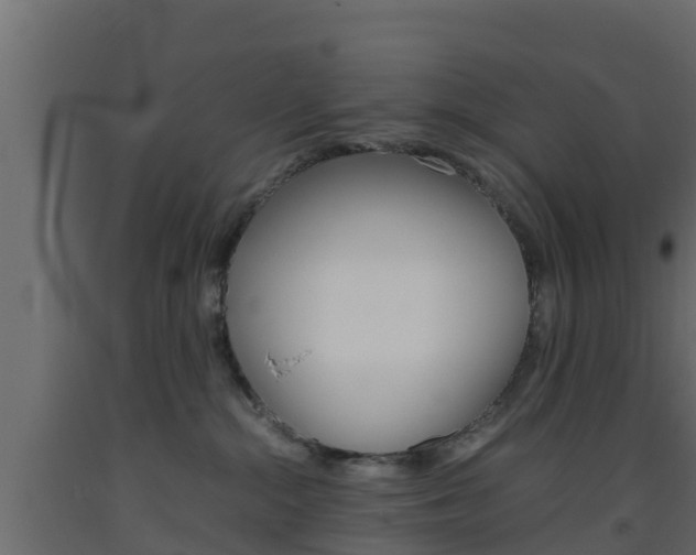 X0000093570284200710151023