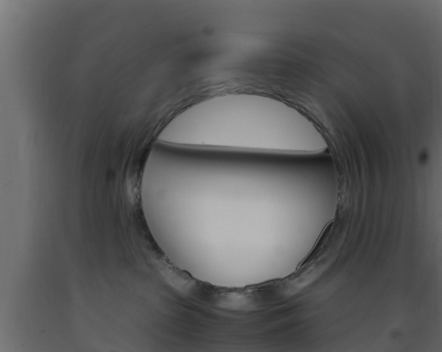 X0000093570285200710151023