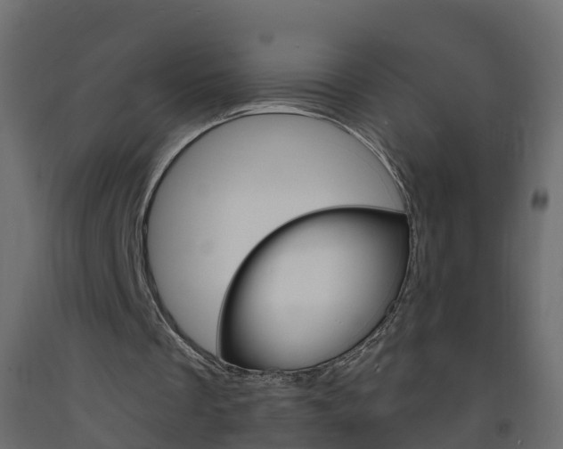 X0000093570289200710151022