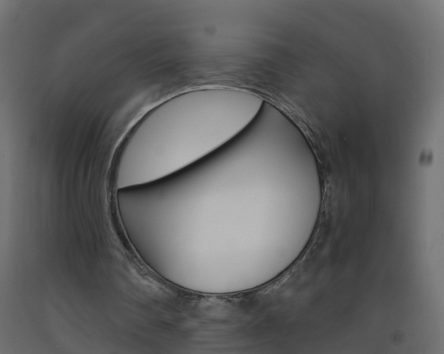 X0000093570290200710151022