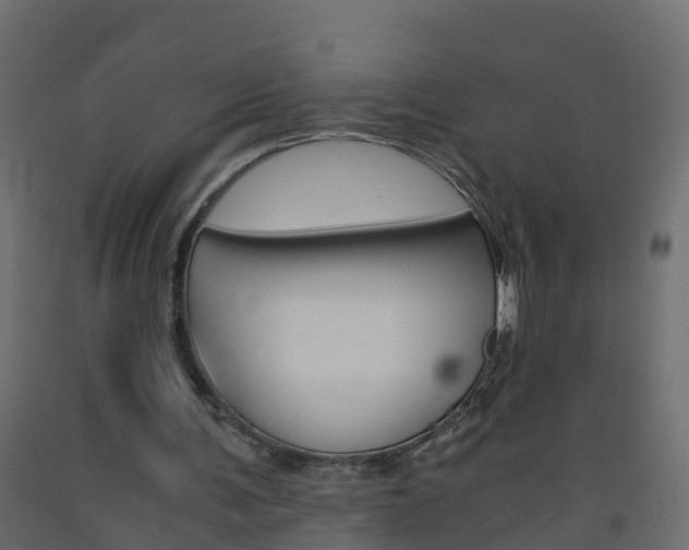 X0000093570291200710151022