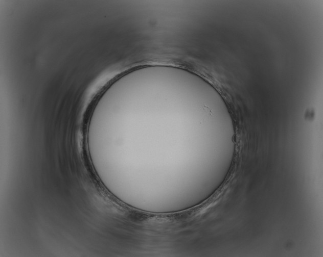 X0000093570294200710151022