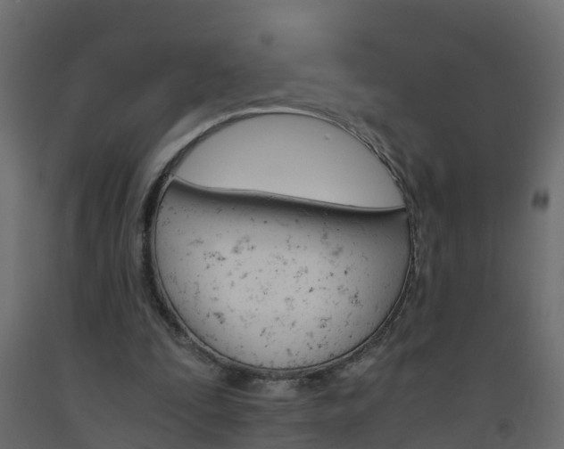X0000093570295200710151022