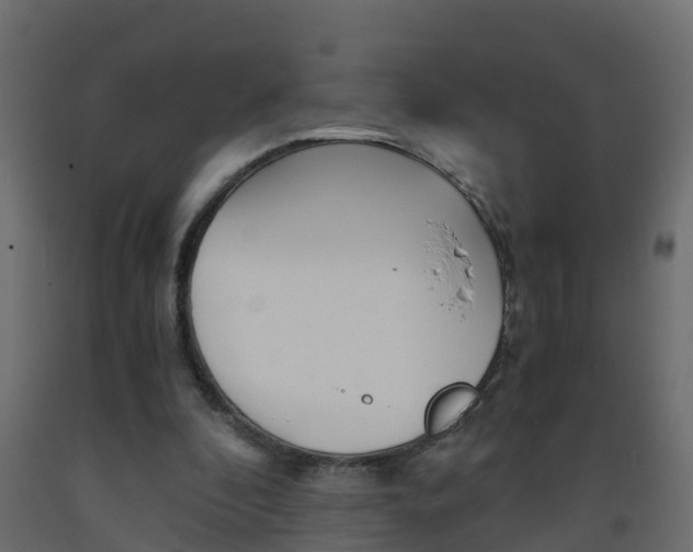 X0000093570296200710151022