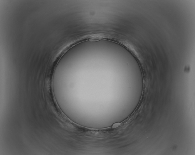 X0000093570297200710151022