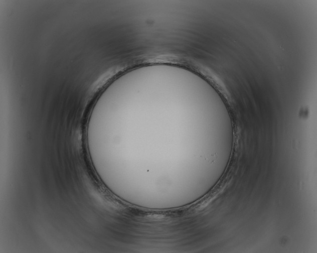 X0000093570298200710151022