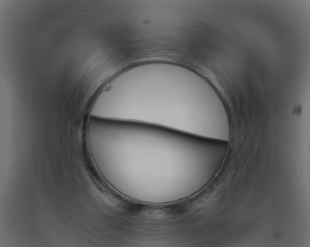 X0000093570299200710151022