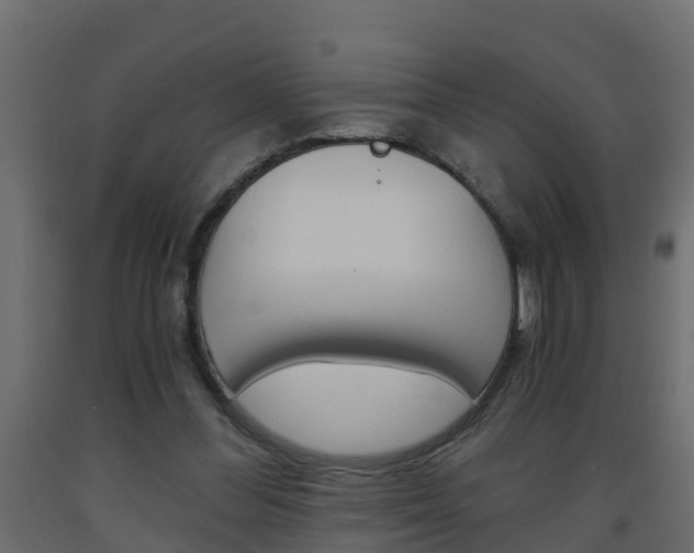 X0000093570300200710151022
