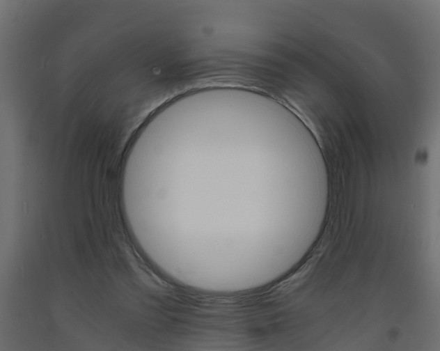 X0000093570301200710151022