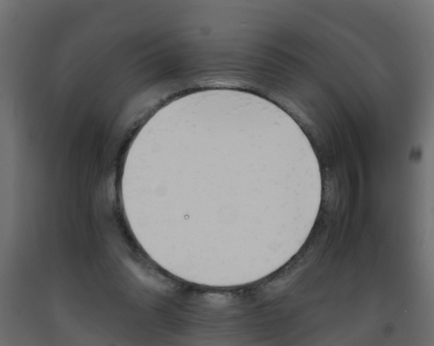 X0000093570302200710151022