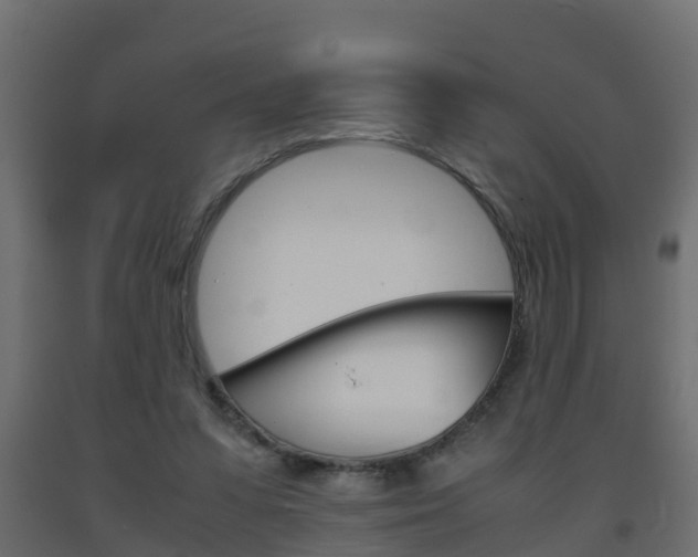 X0000093570303200710151022