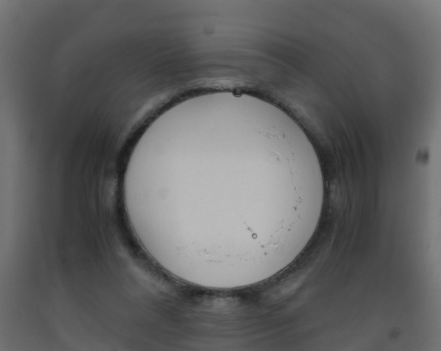 X0000093570304200710151022