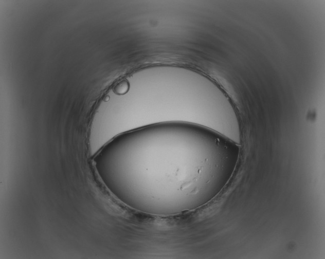 X0000093570305200710151022