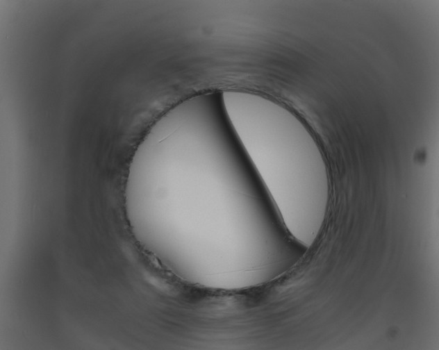 X0000093570307200710151022