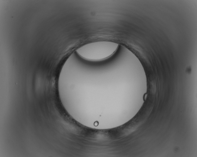 X0000093570308200710151022
