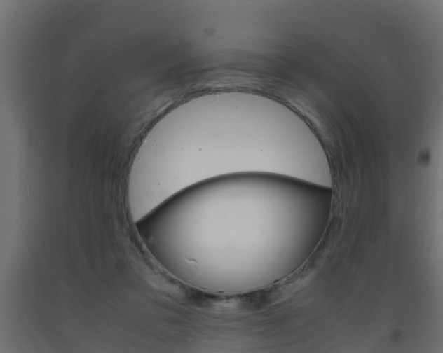 X0000093570309200710151022