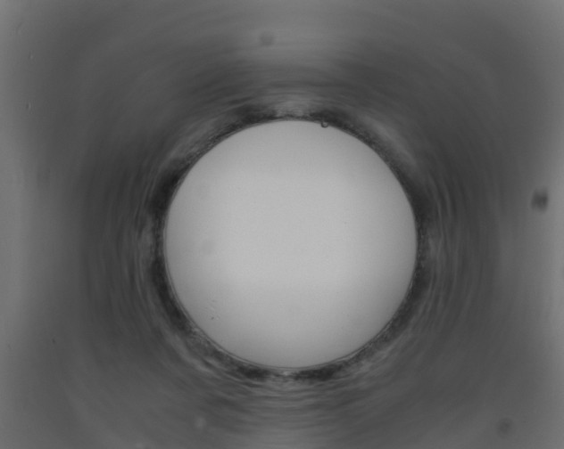 X0000093570311200710151022