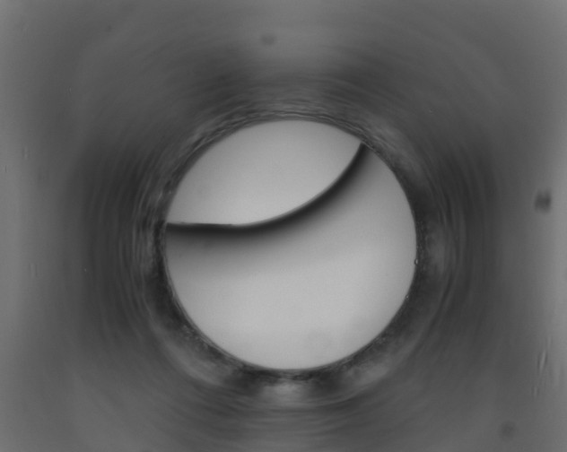 X0000093570312200710151022