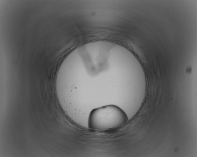 X0000093570313200710151022