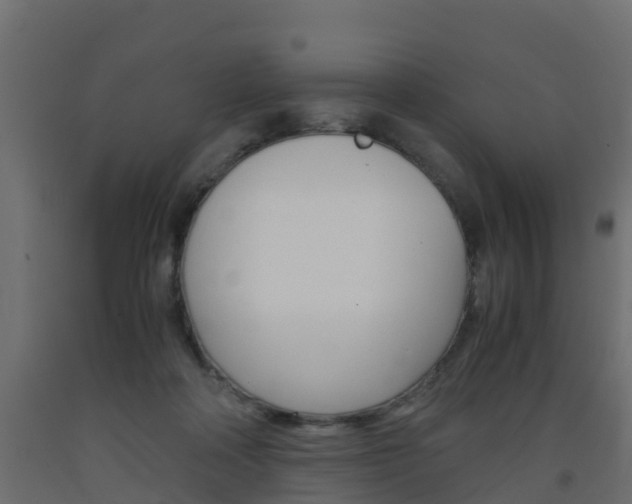X0000093570314200710151022
