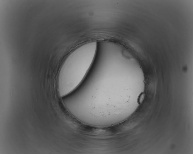 X0000093570315200710151022