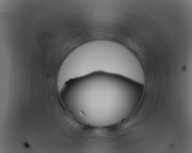 X0000093570317200710151022