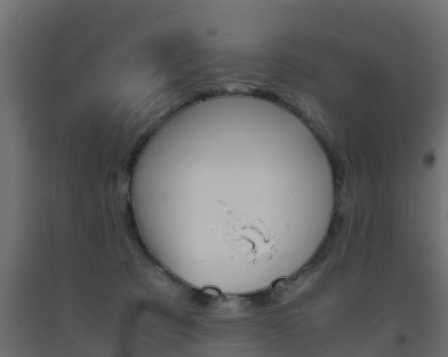 X0000093570321200710151022