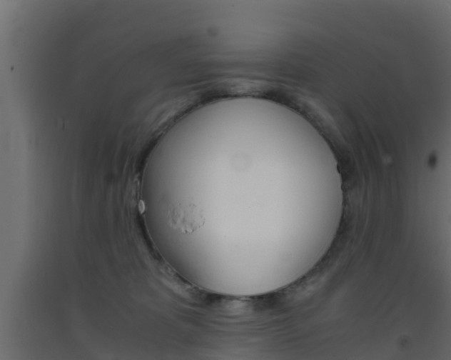 X0000093570325200710151022