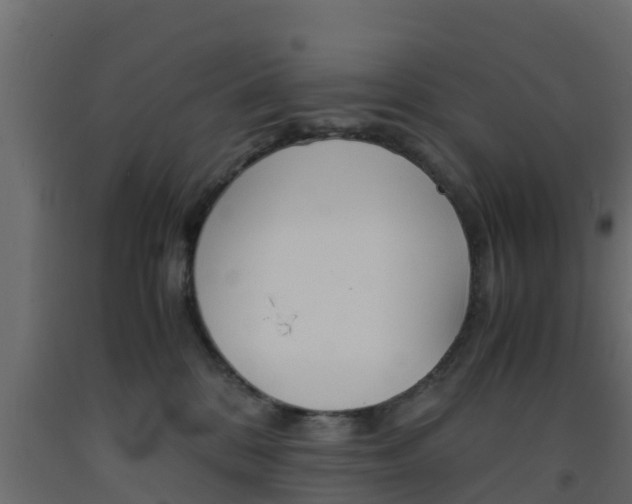 X0000093570328200710151022