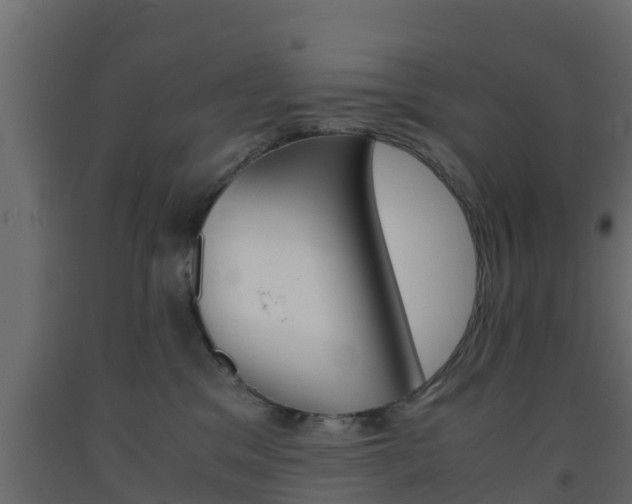 X0000093570329200710151022