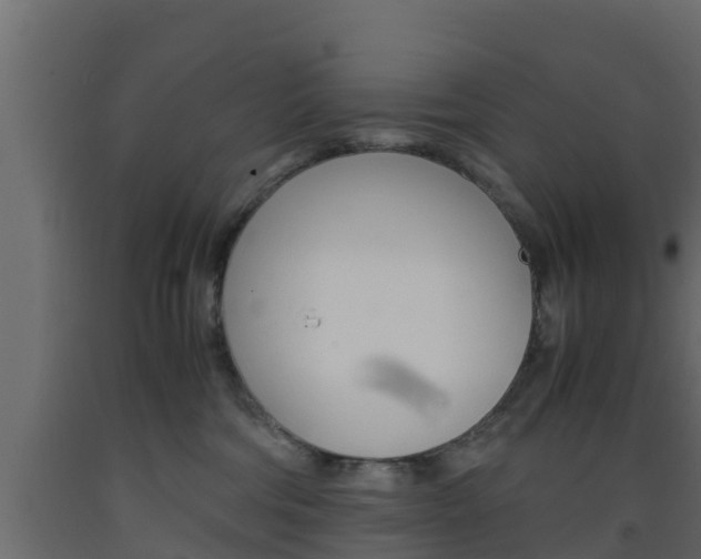 X0000093570330200710151021