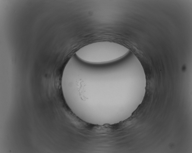 X0000093570331200710151021