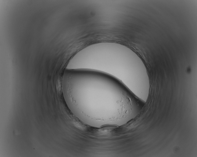 X0000093570335200710151021