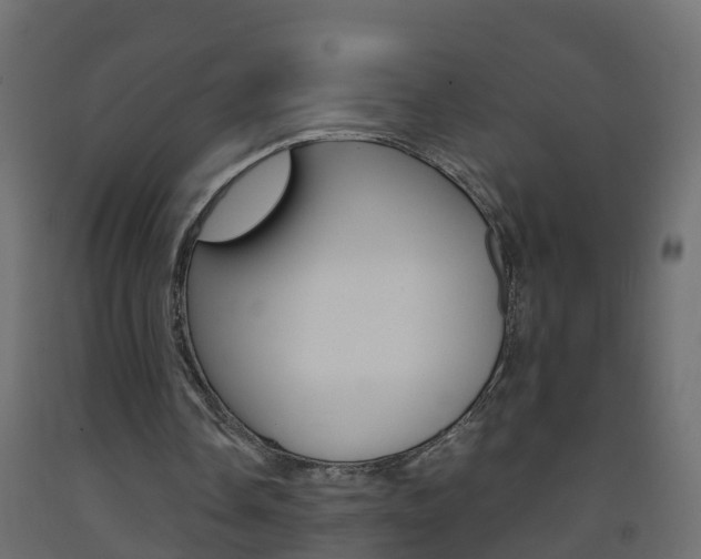 X0000093570338200710151021